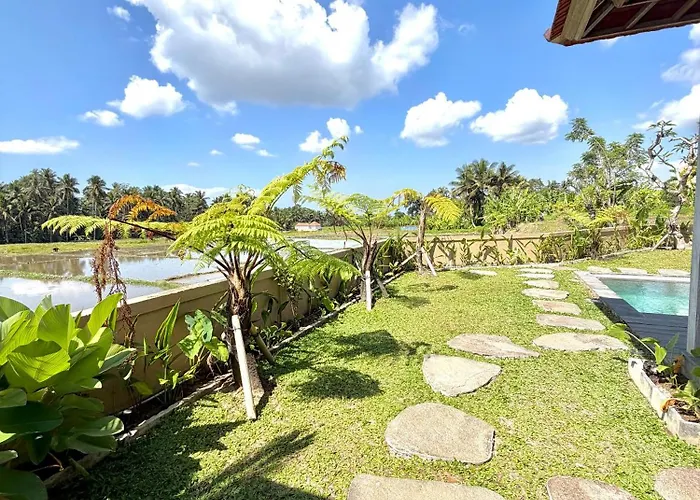 Abian 1 Private With Rice Field View ヴィラ ウブド
